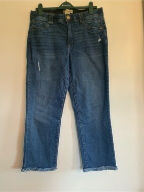 Democracy Ab Technology Medium Blue Ankle Jeans with Frayed Hem